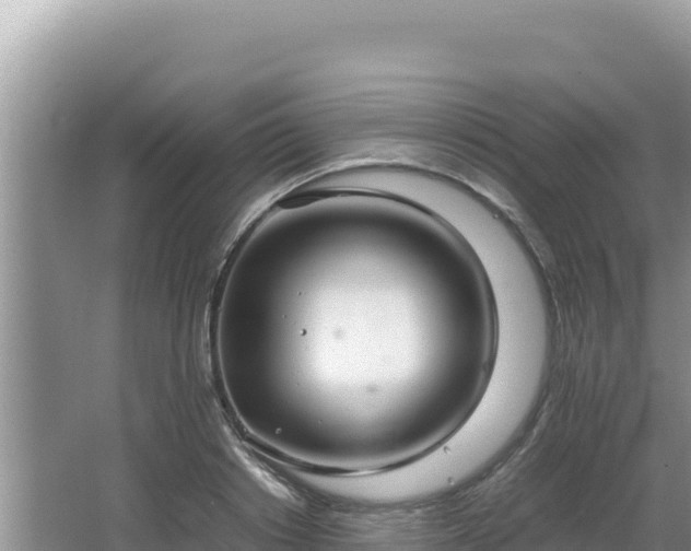 X0000064730842200602131248