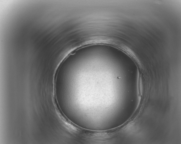 X0000064730844200602131248