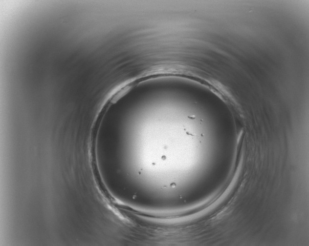 X0000064730846200602131248