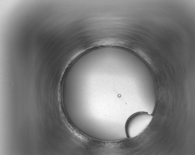 X0000064730848200602131248