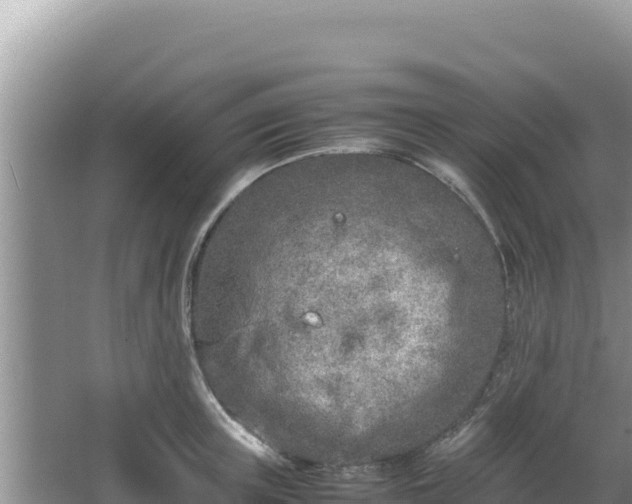 X0000064730851200602131248