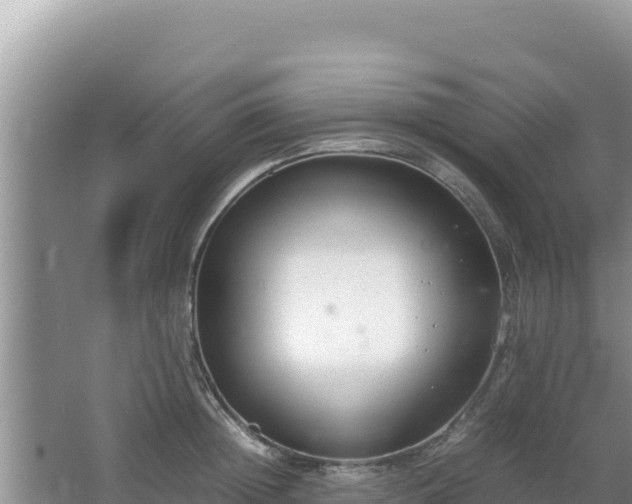 X0000064730852200602131248