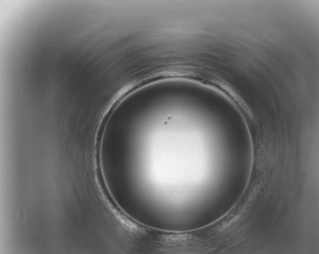 X0000064730853200602131248