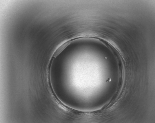 X0000064730854200602131248