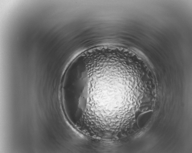 X0000064730855200602131248