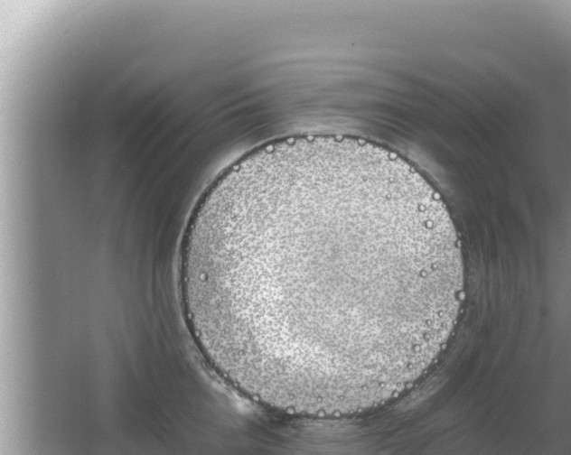 X0000064730856200602131248