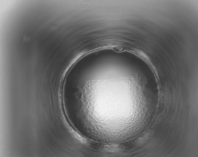 X0000064730859200602131248