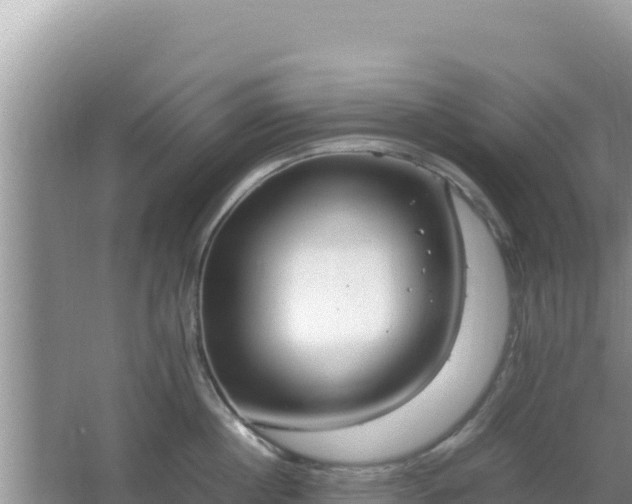 X0000064730860200602131248