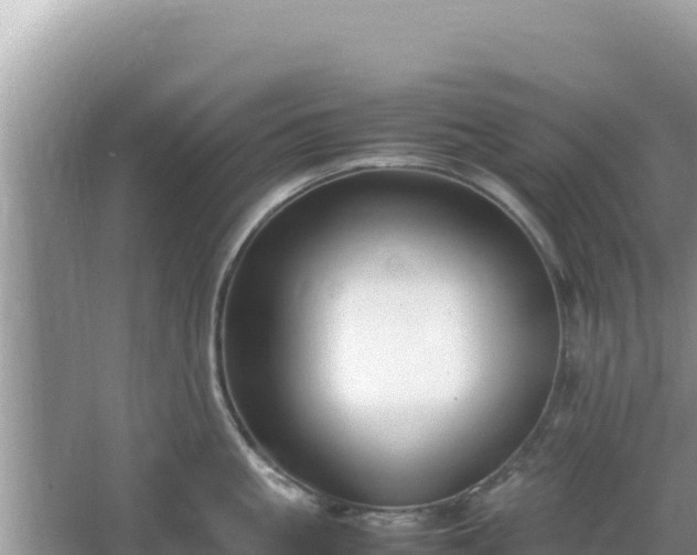 X0000064730861200602131248