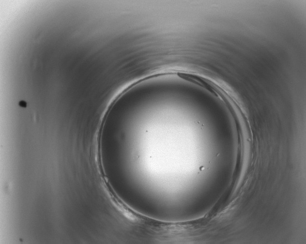 X0000064730862200602131248