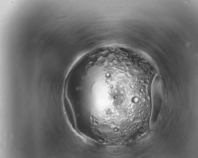 X0000064730863200602131248