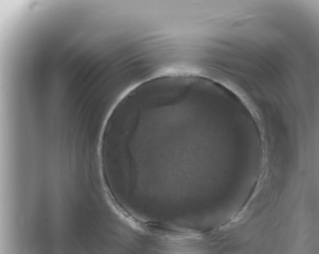 X0000064730864200602131248