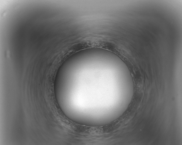 X0000064730865200602131248