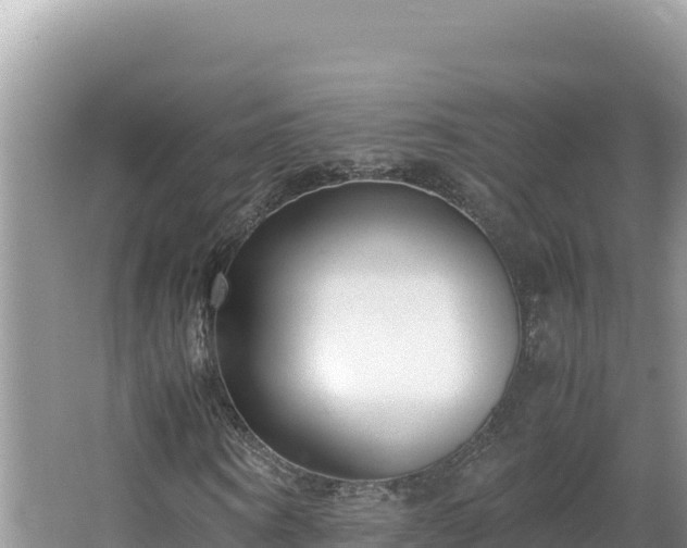 X0000064730866200602131248