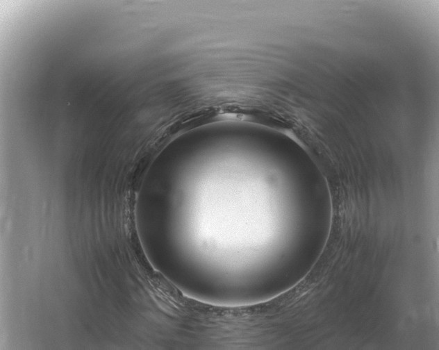 X0000064730868200602131248