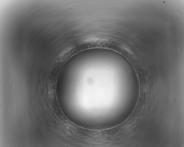 X0000064730869200602131247