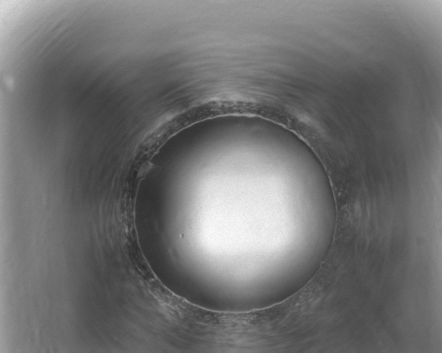 X0000064730870200602131247