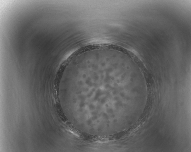 X0000064730871200602131247