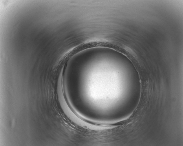 X0000064730872200602131247