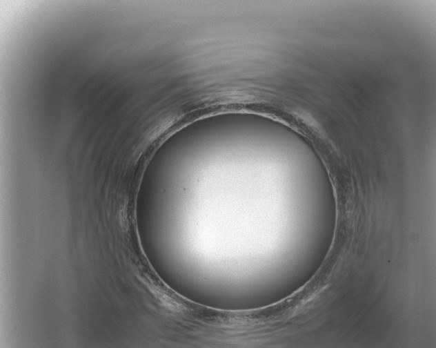 X0000064730873200602131247