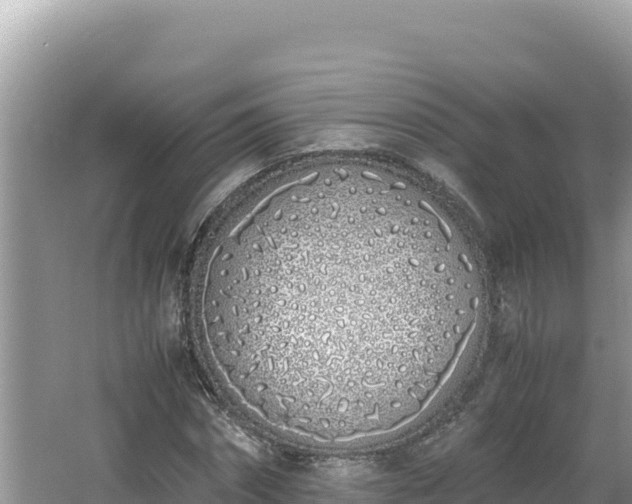 X0000064730874200602131247