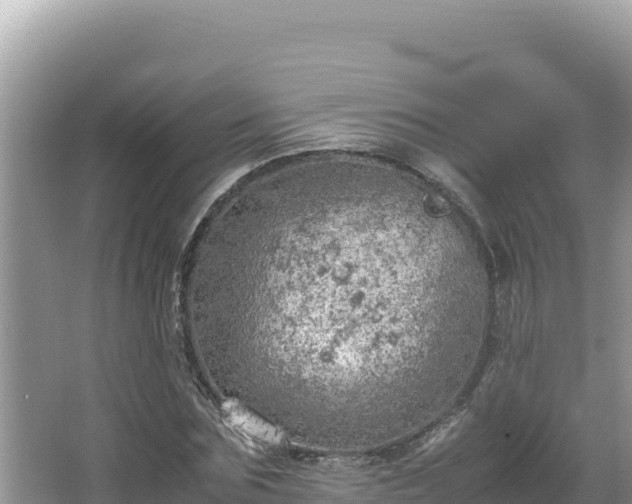 X0000064730875200602131247