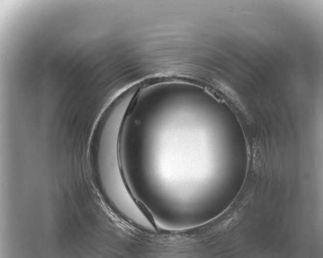 X0000064730876200602131247