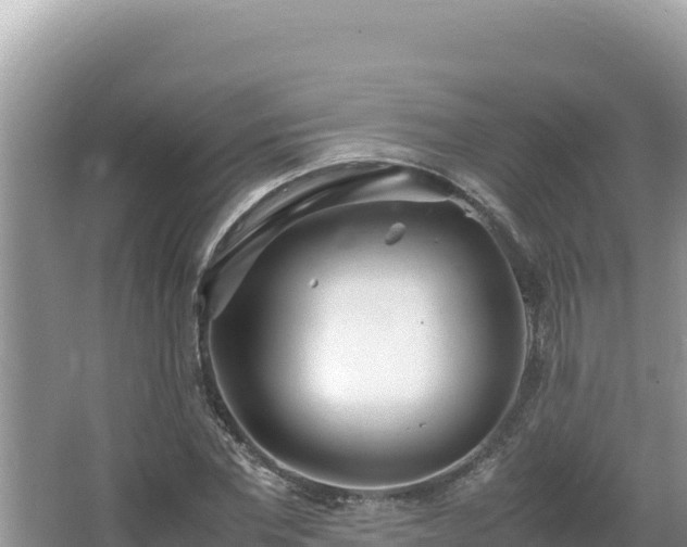 X0000064730877200602131247