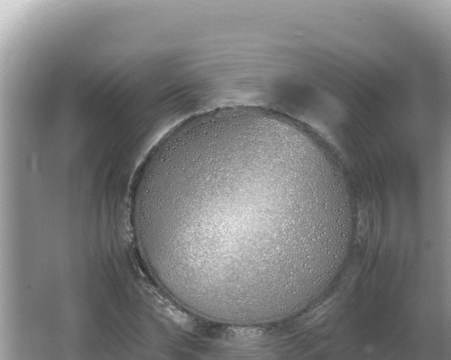 X0000064730878200602131247