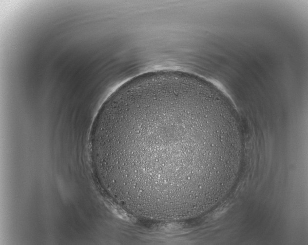 X0000064730879200602131247