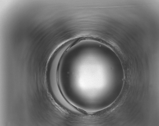 X0000064730880200602131247