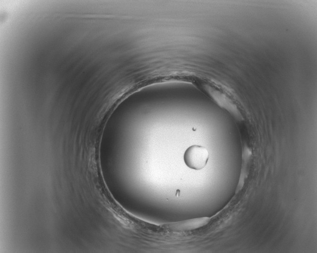 X0000064730881200602131247