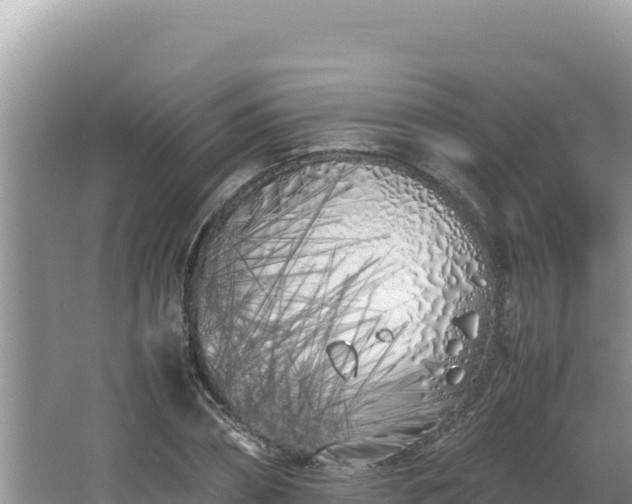 X0000064730882200602131247