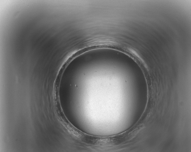 X0000064730883200602131247