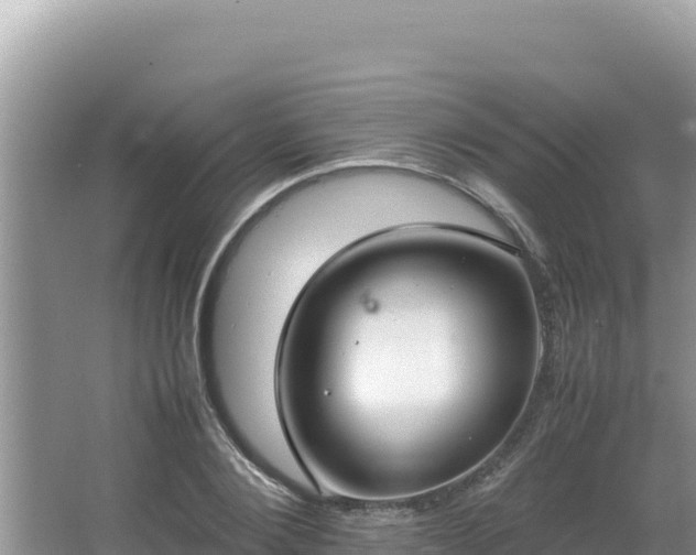 X0000064730884200602131247