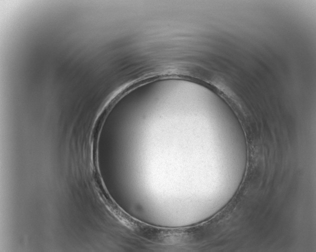 X0000064730886200602131247