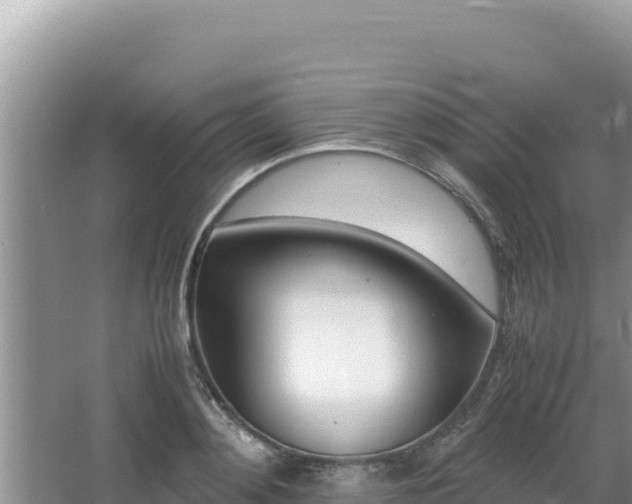 X0000064730892200602131247