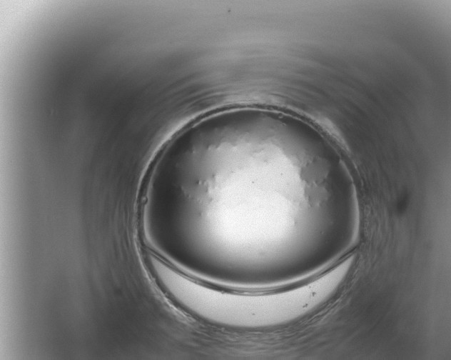 X0000064730895200602131247