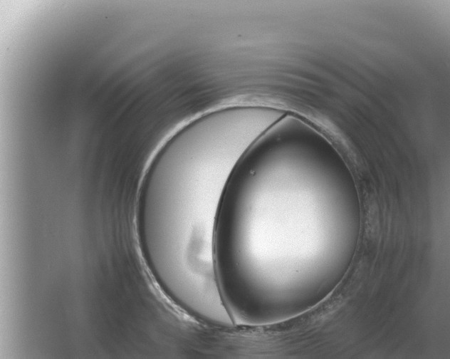 X0000064730896200602131247