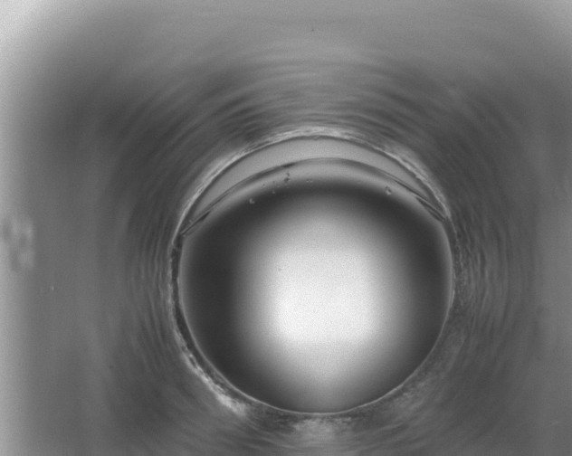 X0000064730898200602131247