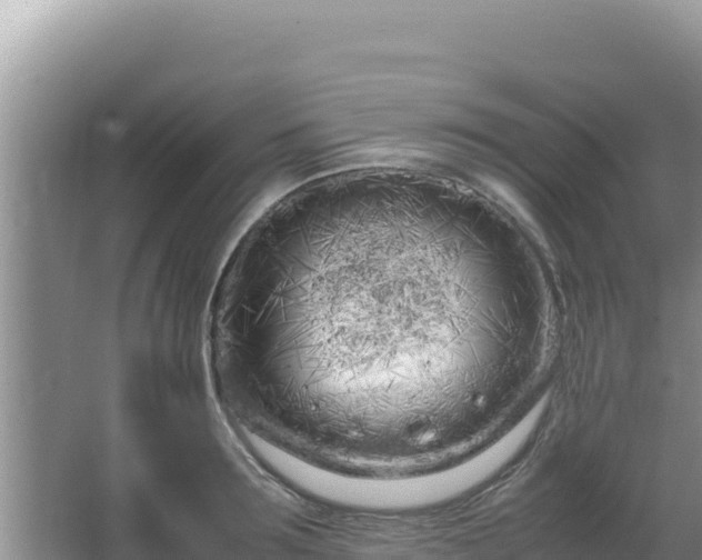 X0000064730899200602131247