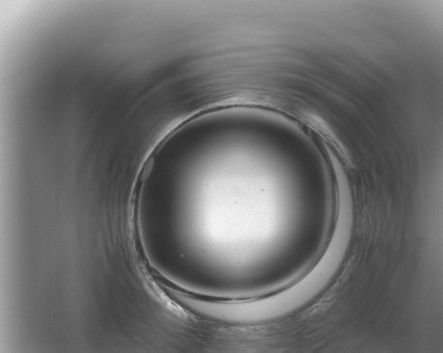 X0000064730900200602131247