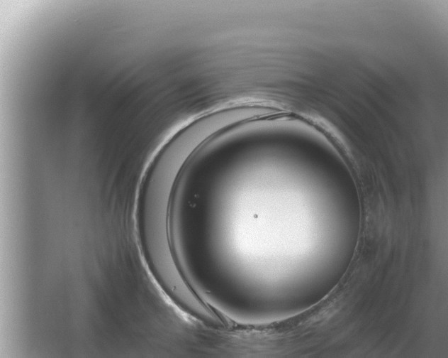 X0000064730902200602131247