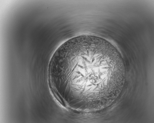 X0000064730903200602131247