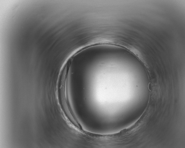 X0000064730904200602131247