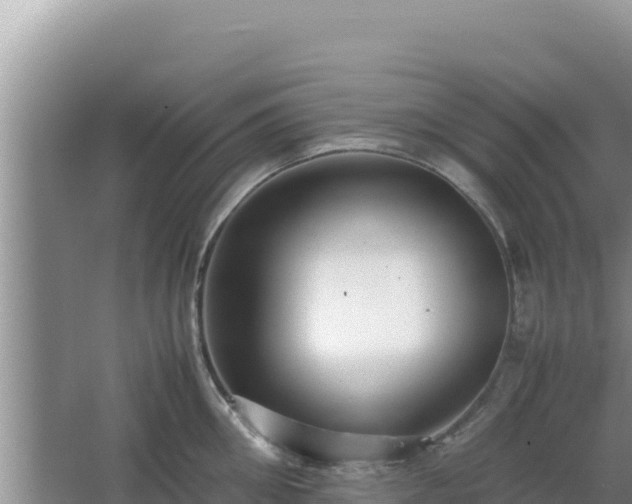 X0000064730906200602131247