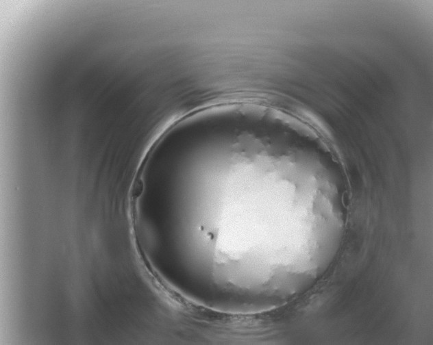 X0000064730907200602131247