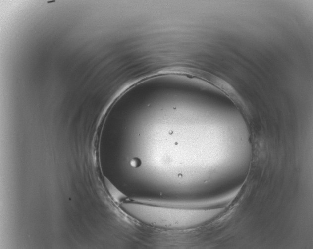 X0000064730908200602131247