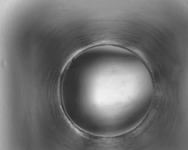 X0000064730910200602131247