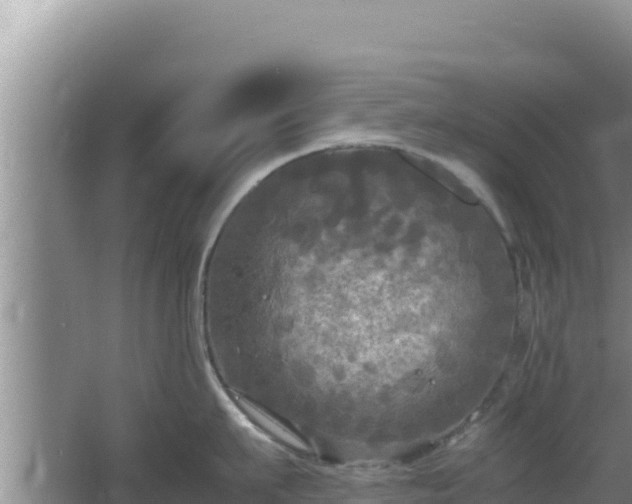 X0000064730911200602131247